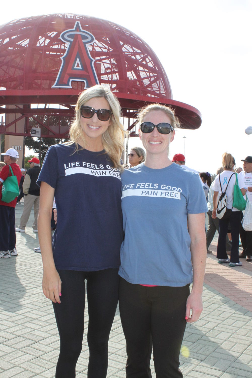 Arthritis Walk 2015