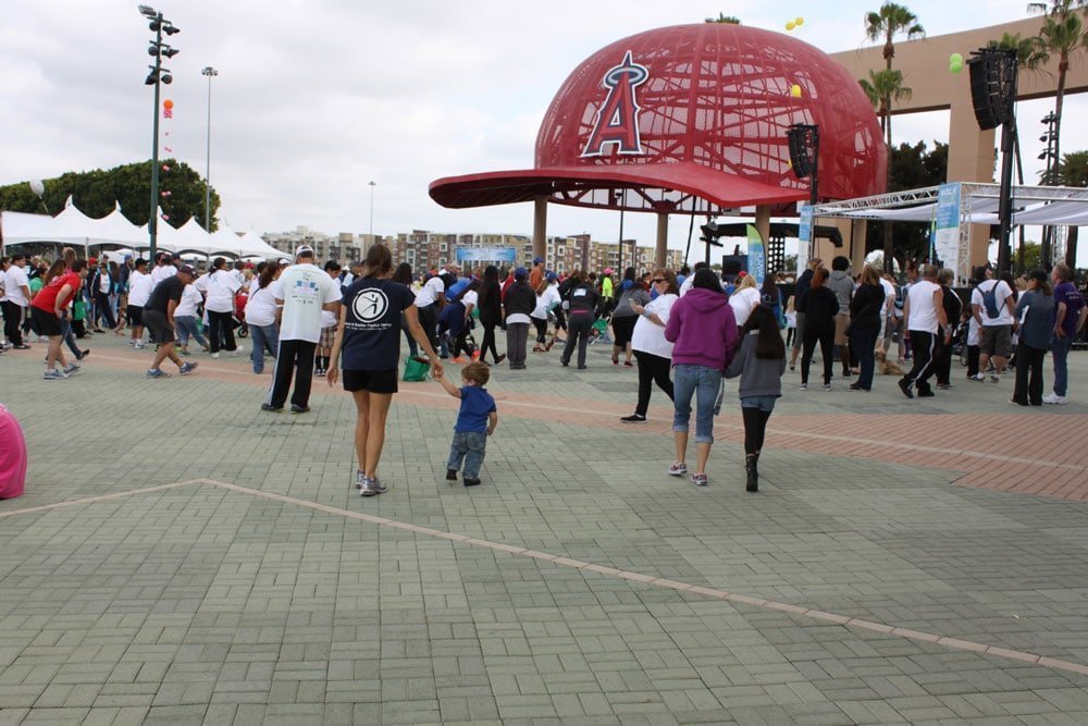 Arthritis Walk 2015