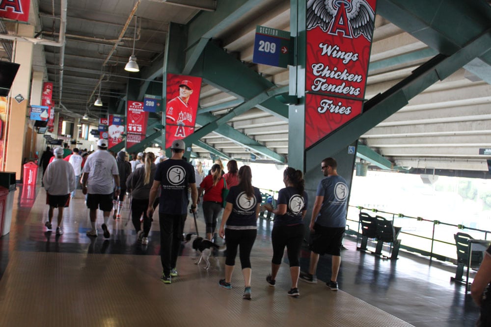 Arthritis Walk 2015