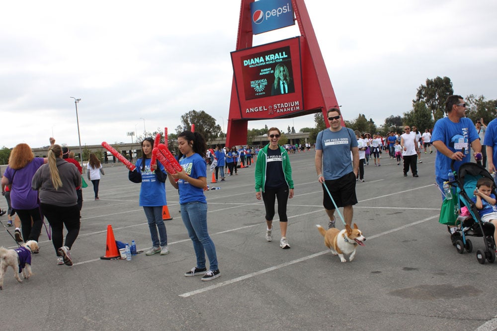 Arthritis Walk 2015