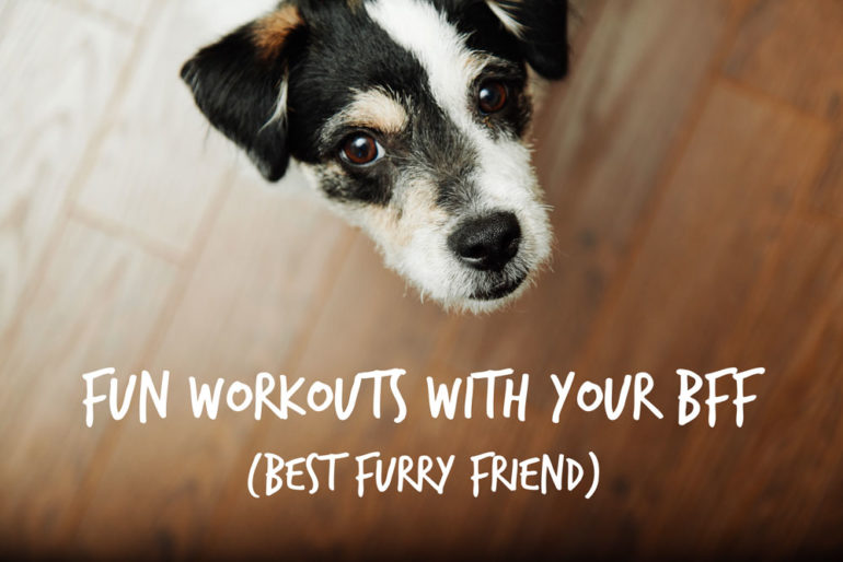 Fun Workouts With Your Bff Best Furry Friend